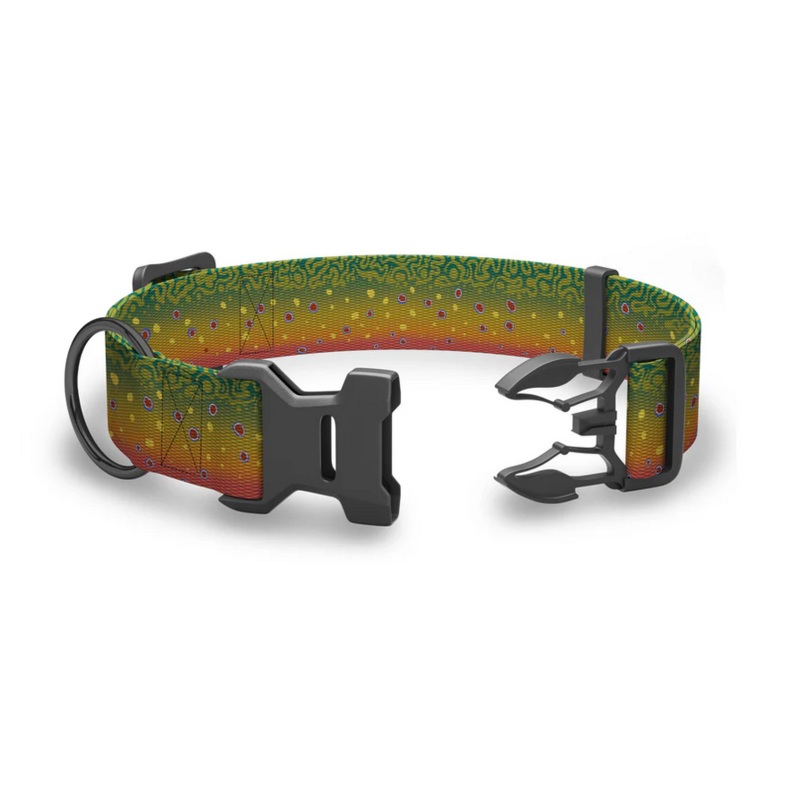 Wingo Outdoors Brook Trout Collar