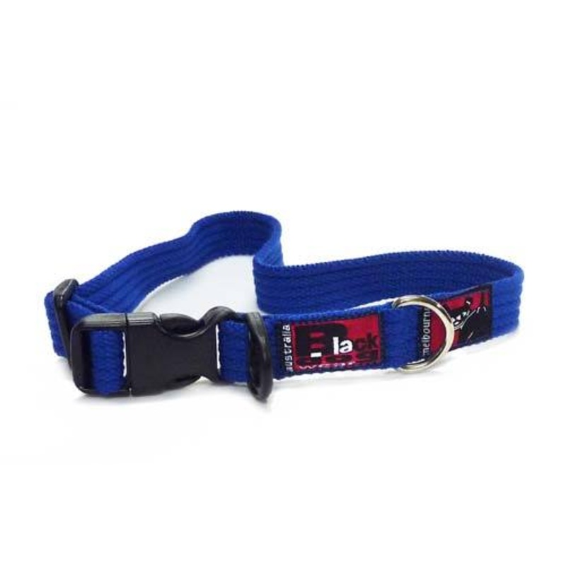 Black Dog Wear Standard Collar Medium