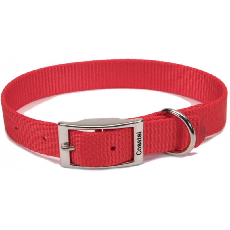 Coastal Pet Products Standard Nylon Large Dog Collar