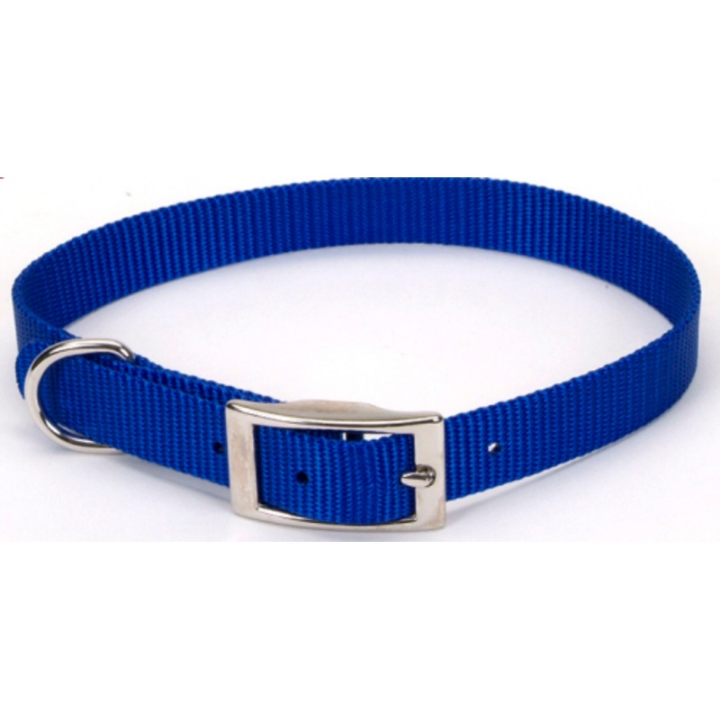 Coastal Pet Products Standard Nylon Small and Medium Dog Collar