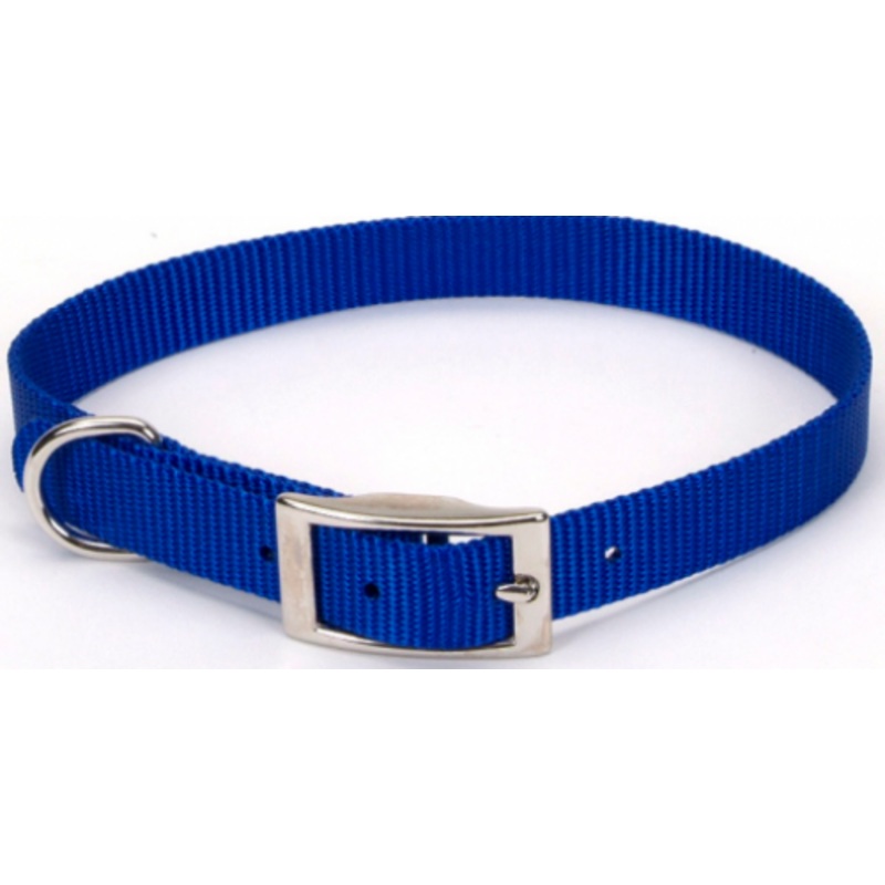Coastal Pet Products Standard Nylon Small Dog Collar