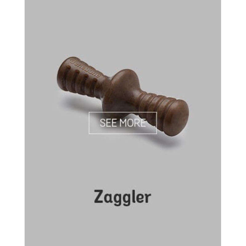 Benebone Zaggler Bacon