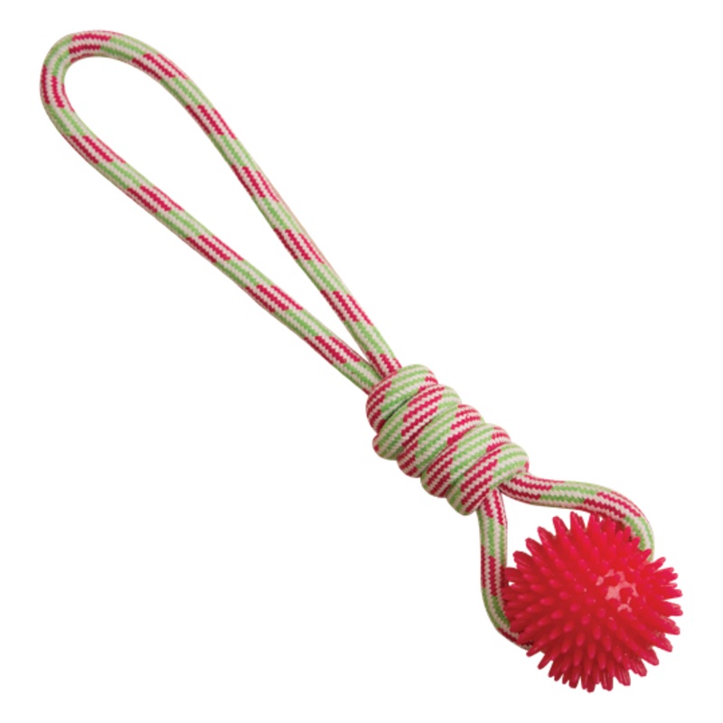 Snugarooz Spike-O-Mite Rope Dog Toy (Rope Dog Toy)