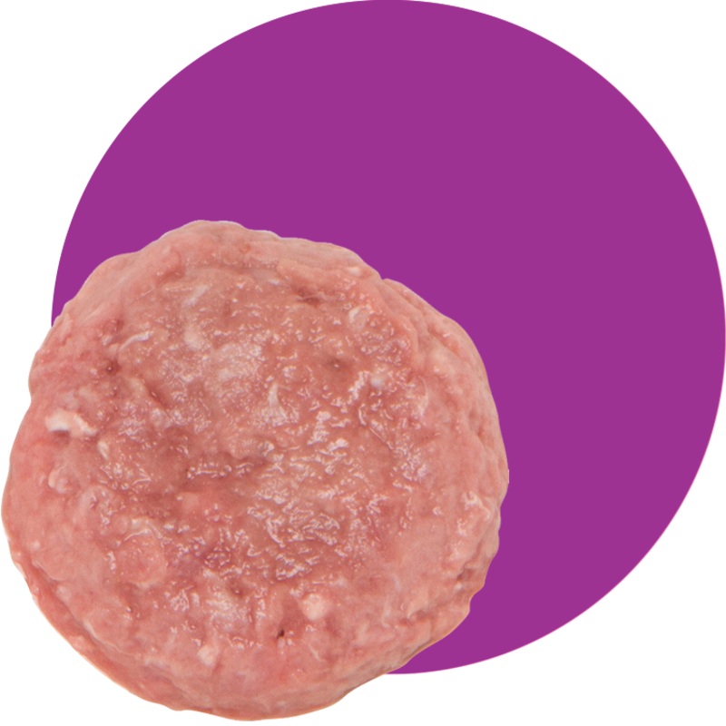 Small Batch Frozen Turkey Blend for Dog & Cat