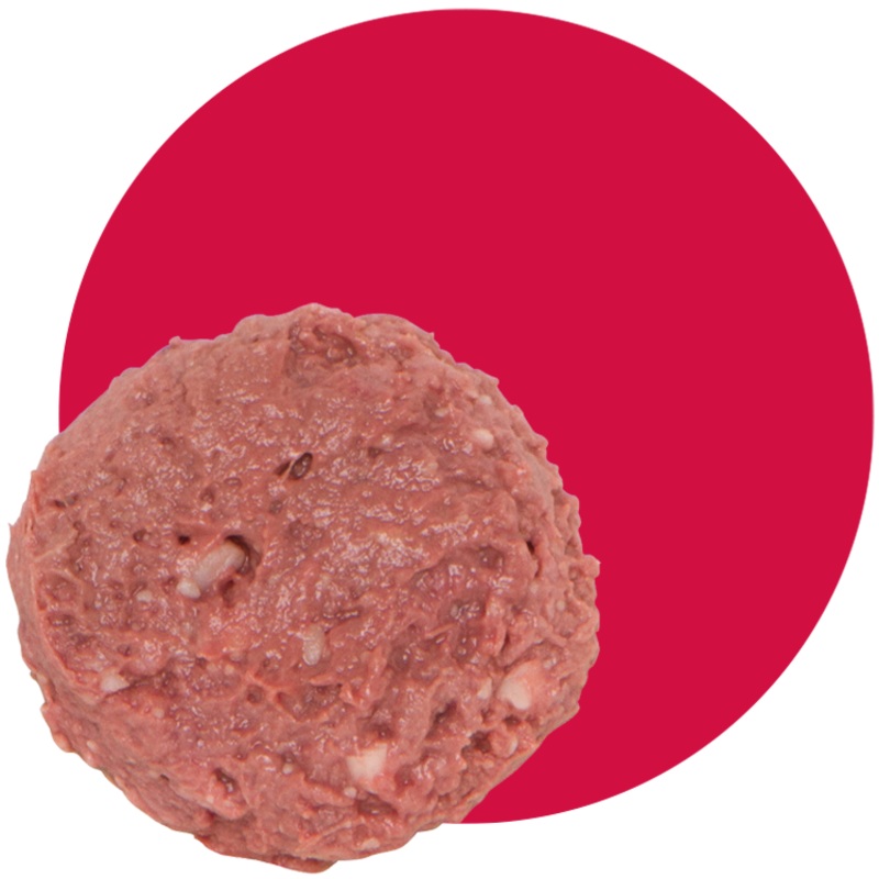 SmallBatch Frozen Blend Beef for Dog & Cat