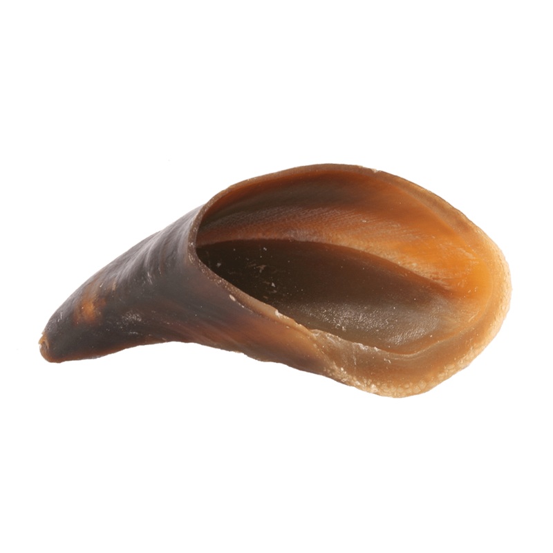 Redbarn Naturals Cow Hooves Premium Dog Chews