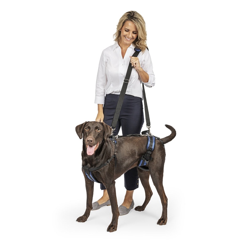 Petsafe CareLift Support Harness