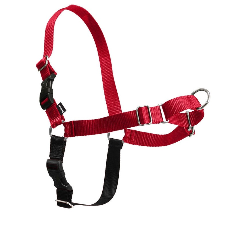 PetSafe Easy Walk Harness, No Pull Dog Harness