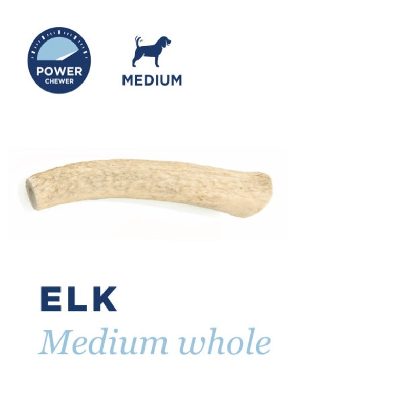 Barkworthies Elk Antler Medium Whole (Medium)