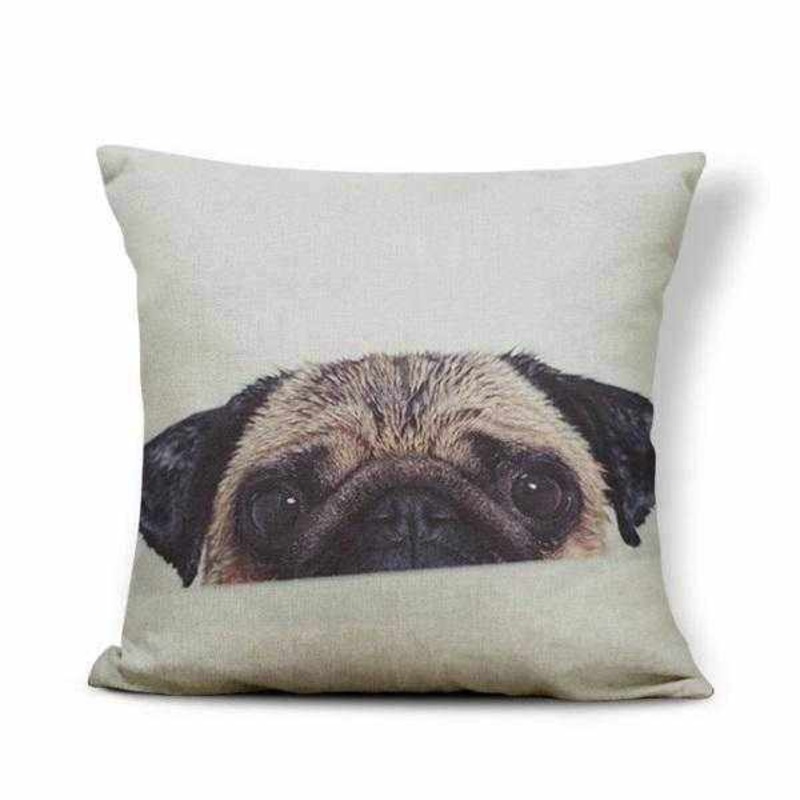 Peek a Boo Pug Throw Cushion