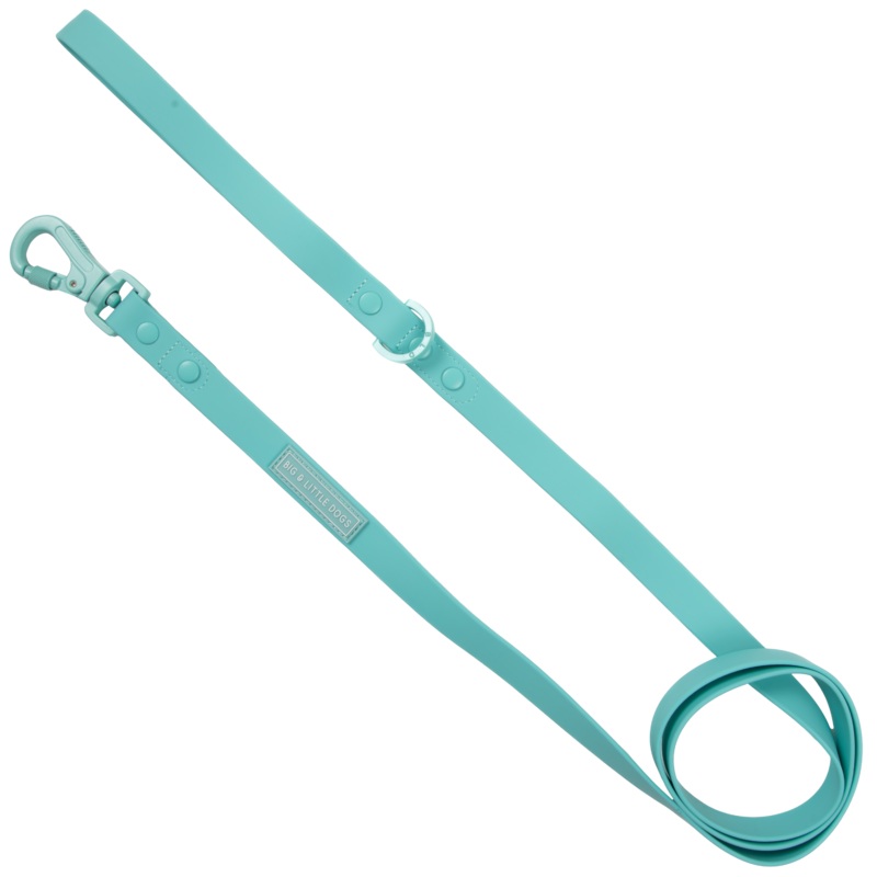 Big & Little Dogs Waterproof Leash - Aqua