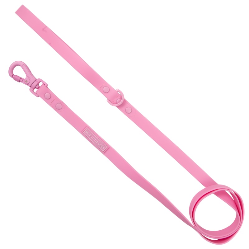 Big & Little Dogs Waterproof Leash - Pink