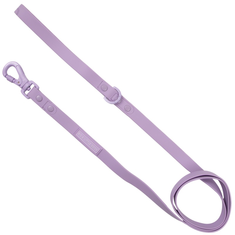 Big & Little Dogs Waterproof Leash - Purple