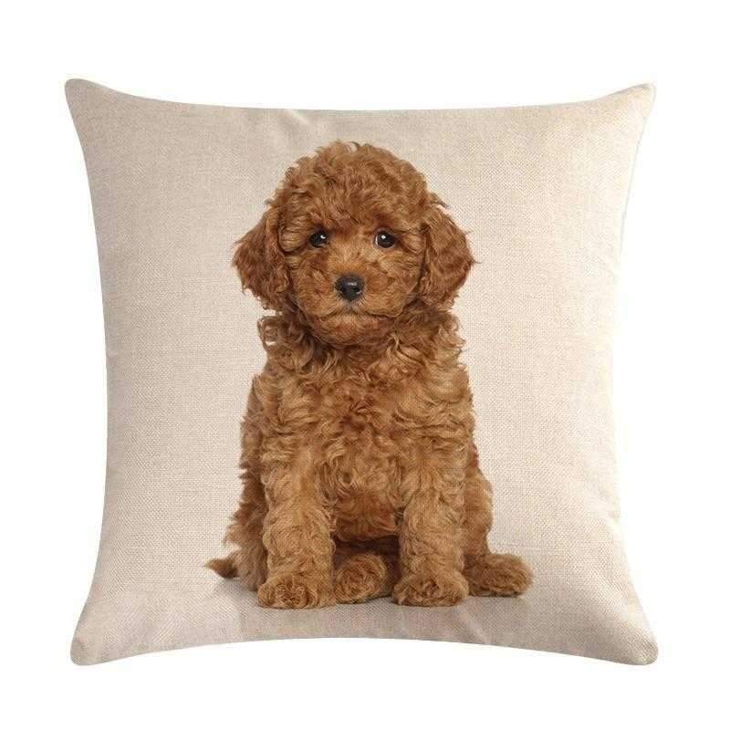 Cavoodle Throw Cushion