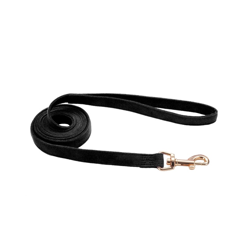Coastal Accent Microfiber Leash - 5/8in x 6ft Mod Black with Leopard Bow