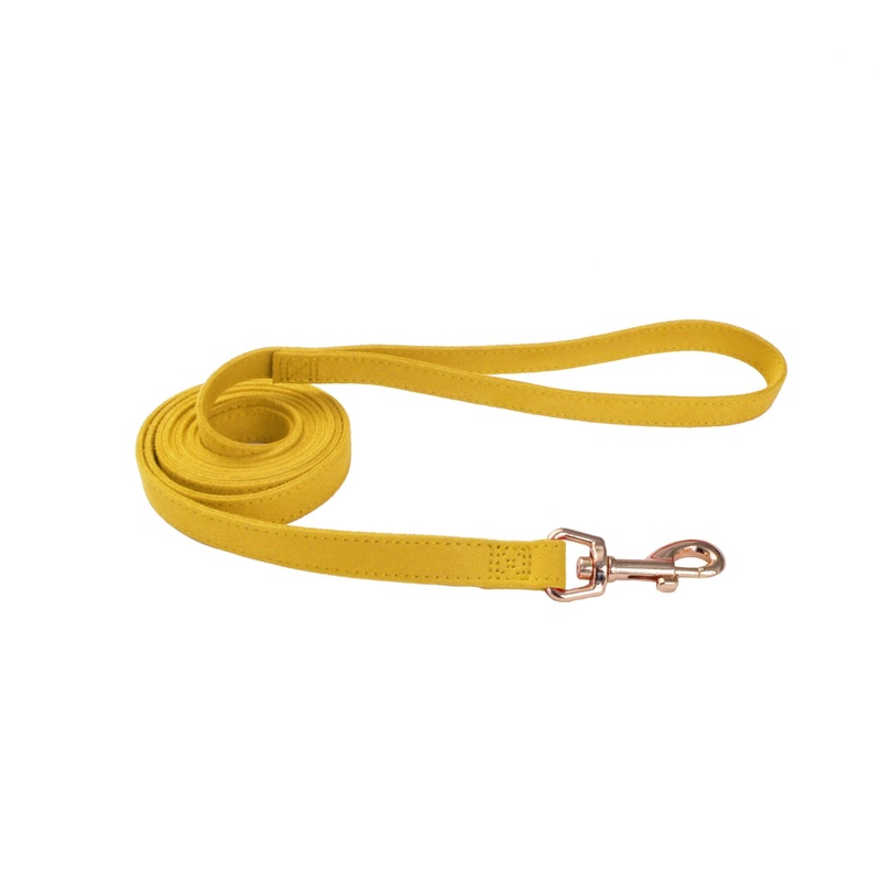 Coastal Accent Microfiber Leash - 5/8in x 6ft Vintage Yellow with Flower