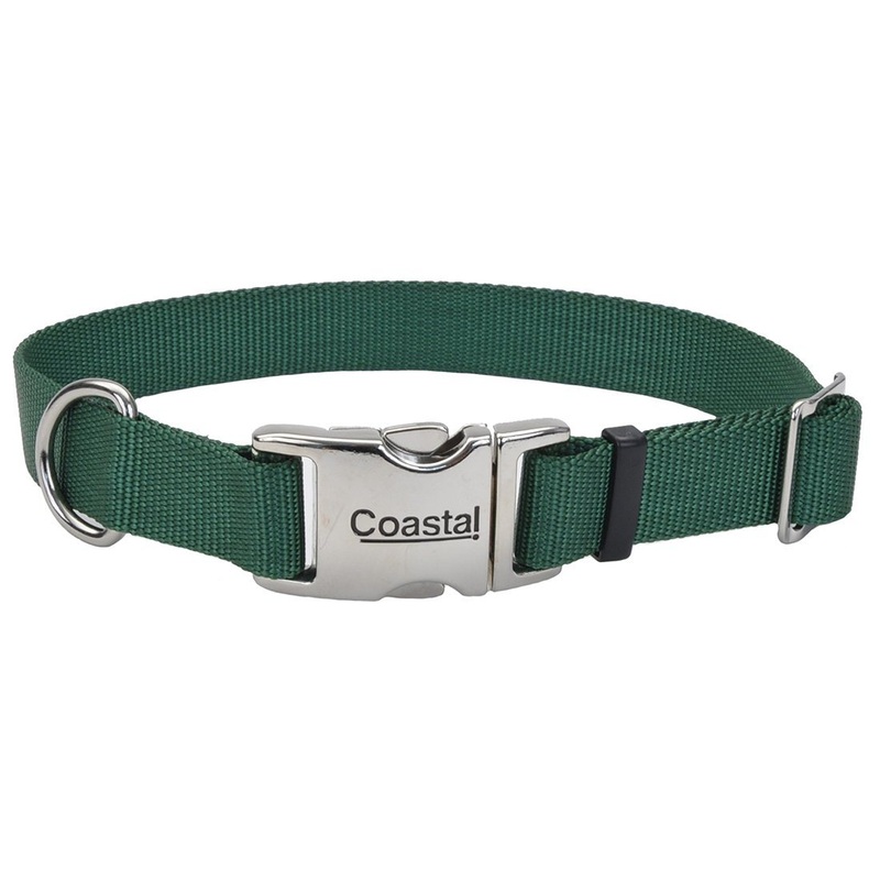 Coastal Adjustable Dog Collar with Metal Buckle - 1in x 14-20in Hunter