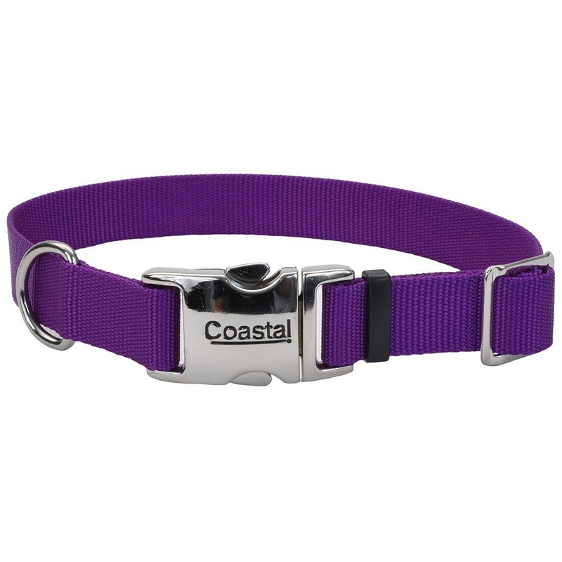 Coastal Adjustable Dog Collar with Metal Buckle - 1in x 14-20in Purple