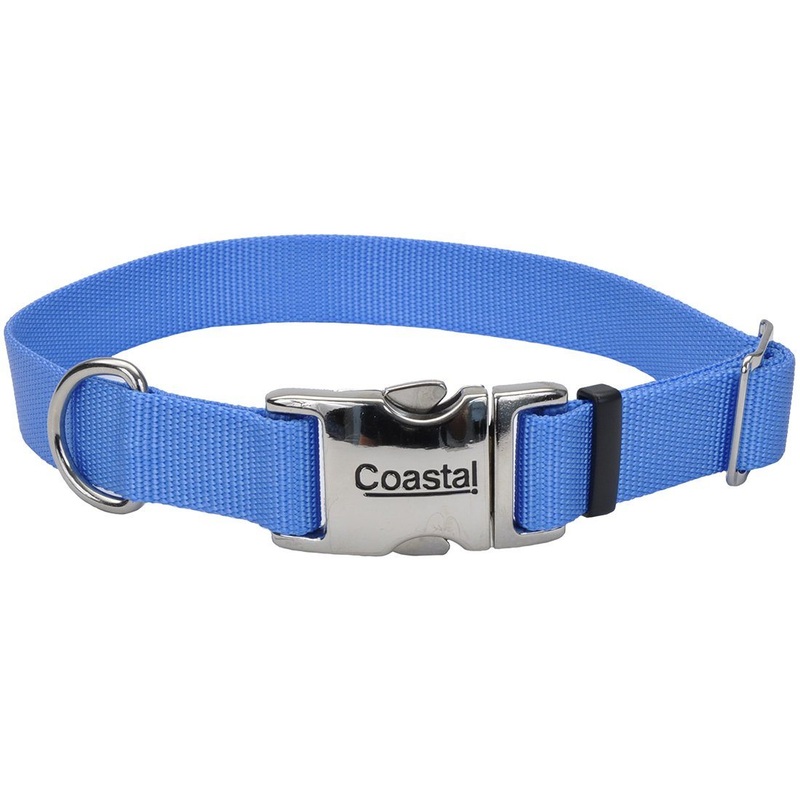 Coastal Adjustable Dog Collar with Metal Buckle - 1in x 18-26in Blue Lagoon