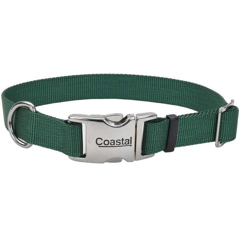 Coastal Adjustable Dog Collar with Metal Buckle - 1in x 18-26in Hunter