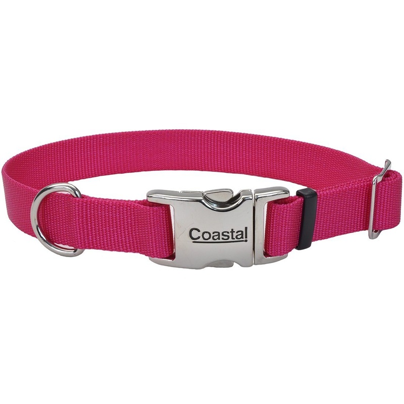 Coastal Adjustable Dog Collar with Metal Buckle - 1in x 18-26in Pink Flamingo