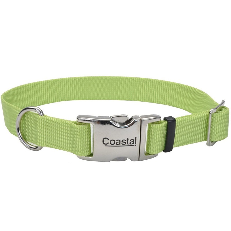 Coastal Adjustable Dog Collar with Metal Buckle - 3/4in x 14-20in Lime