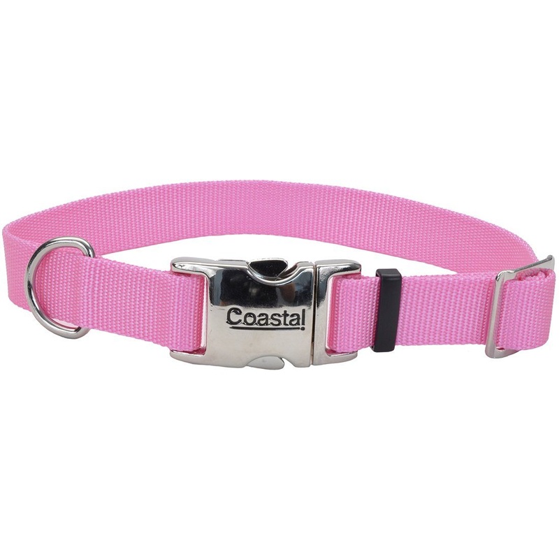 Coastal Adjustable Dog Collar with Metal Buckle - 3/4in x 14-20in Pink Bright