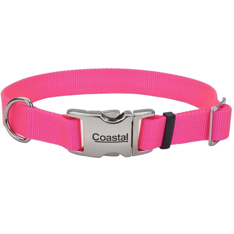Coastal Adjustable Dog Collar with Metal Buckle - 5/8in x 10-14in Neon Pink