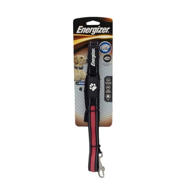 Energizer Blaze USB Dog Leash 4' - Red