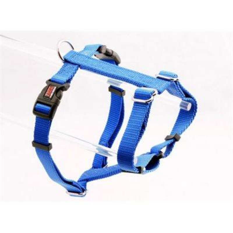 Reflex Behave Harness 1" Royal
