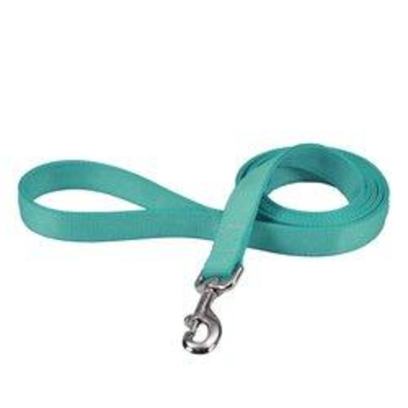 Coastal Double-Ply Dog Leash - 1in x 6ft Teal