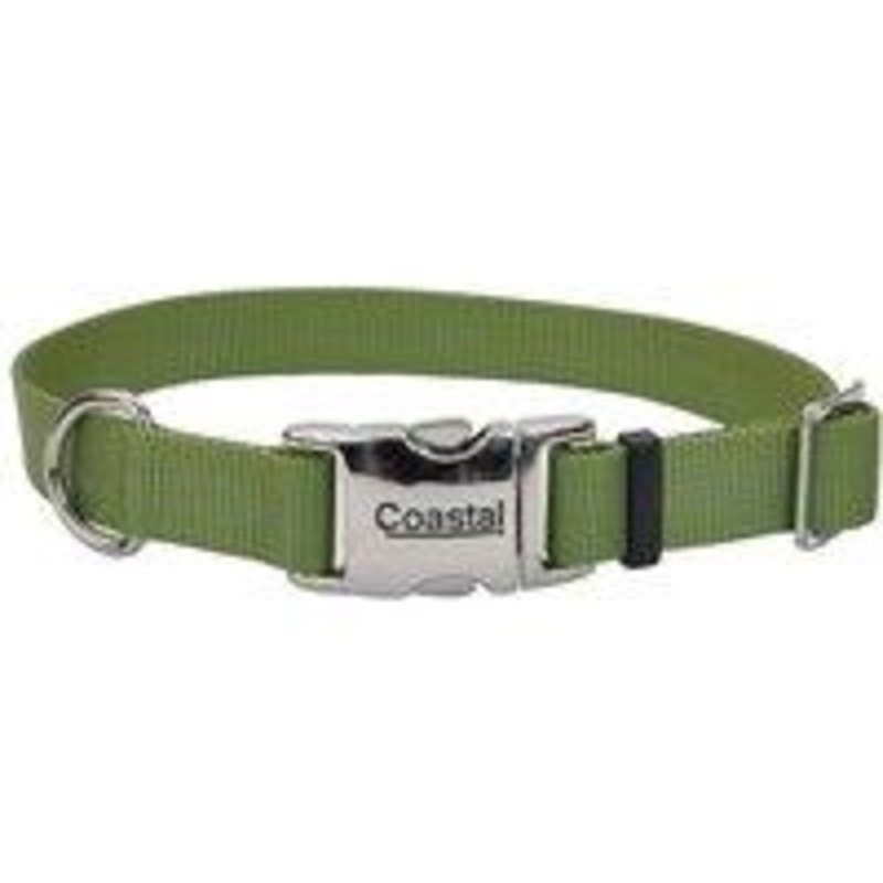 Copy of Copy of Coastal Adjustable Dog Collar with Metal Buckle - 1in x 18-26in Palm Green