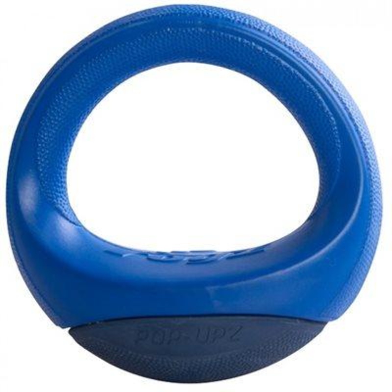 ROGZ Pop Upz Assorted Large