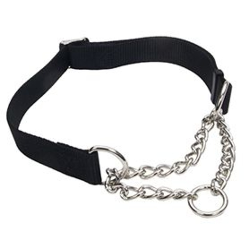 Check Training Collar Adjustable Dog Collar Black 3/4x14-20in