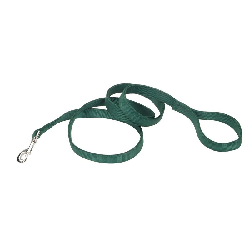 Coastal Double-Ply Dog Leash - 1in x 4ft Hunter