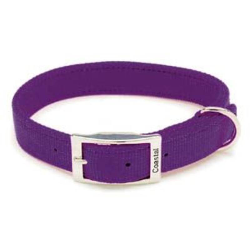 Coastal Double Ply Nylon Dog Collar Orchid 1x26in