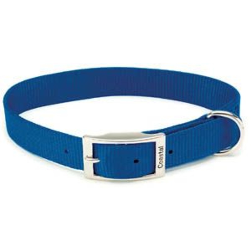 Coastal Single Ply Nylon Dog Collar Blue 1x20in