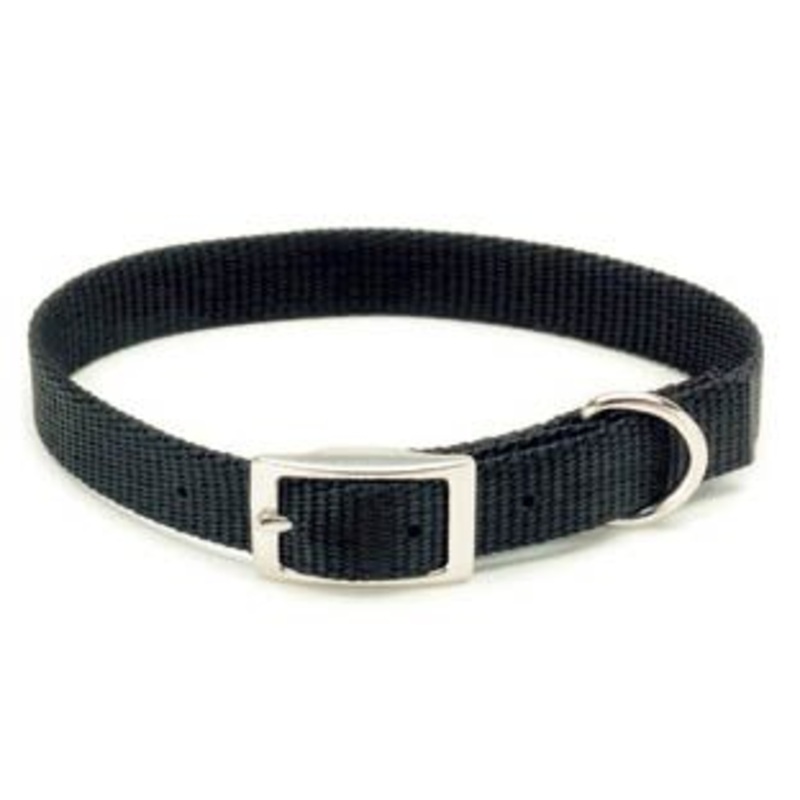 Coastal Single Ply Nylon Dog Collar Red 5/8x16in