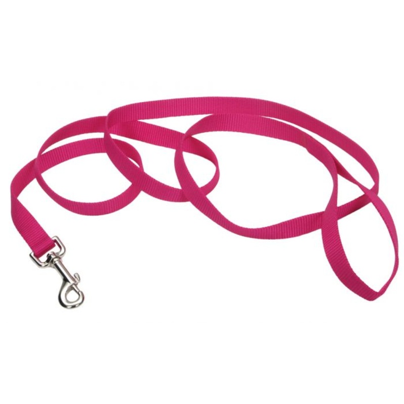 Coastal Single Ply Nylon Leash Pink Flamingo Dog 1X1PC 1inx4ft