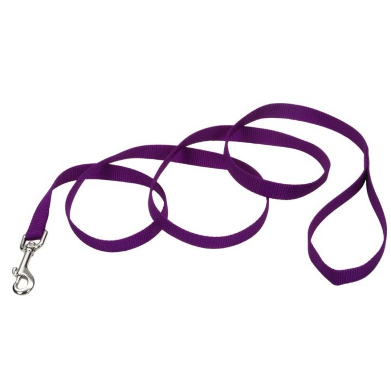 Coastal Single Ply Nylon Leash Purple Dog 1X1PC 1inx4ft