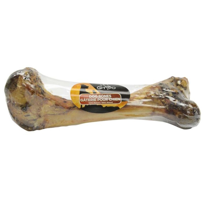 Gabo Dino Bone15-18in