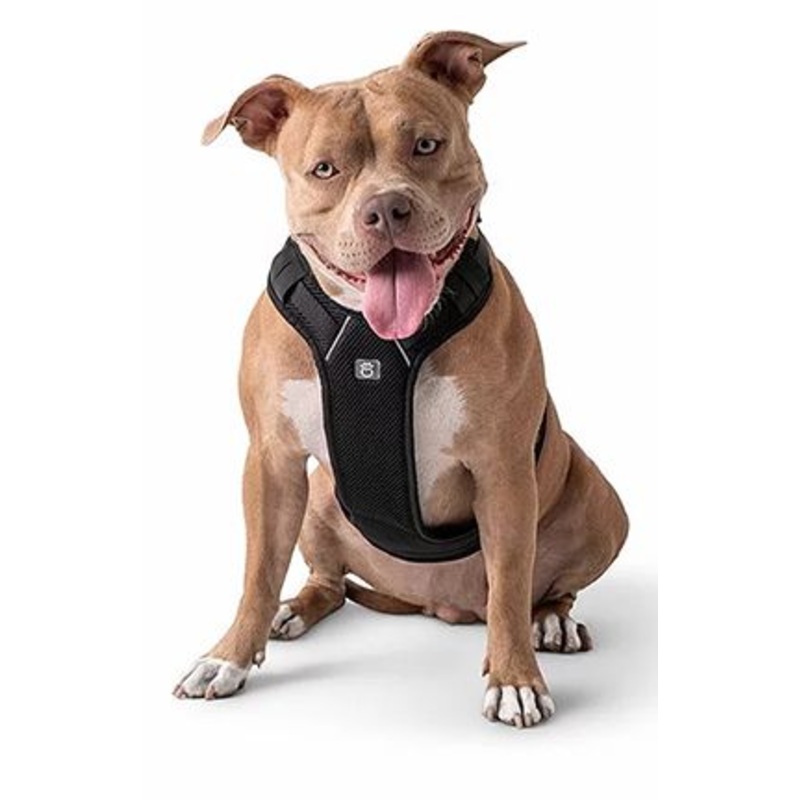 GF Pet Travel Harness Black Large Dog 1X1PC