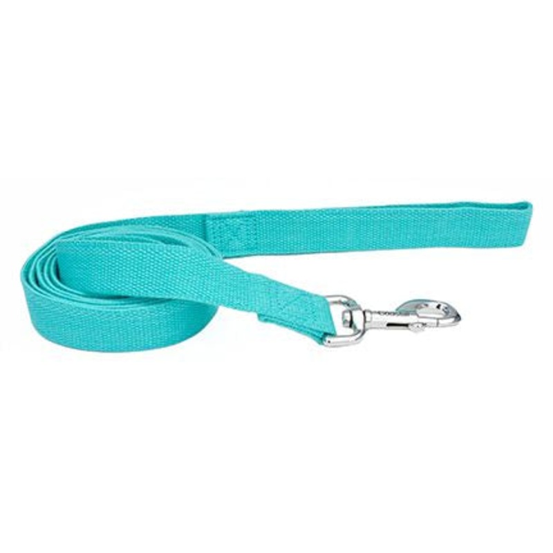New Earth Soy Leash Mint Dog 1X6ft