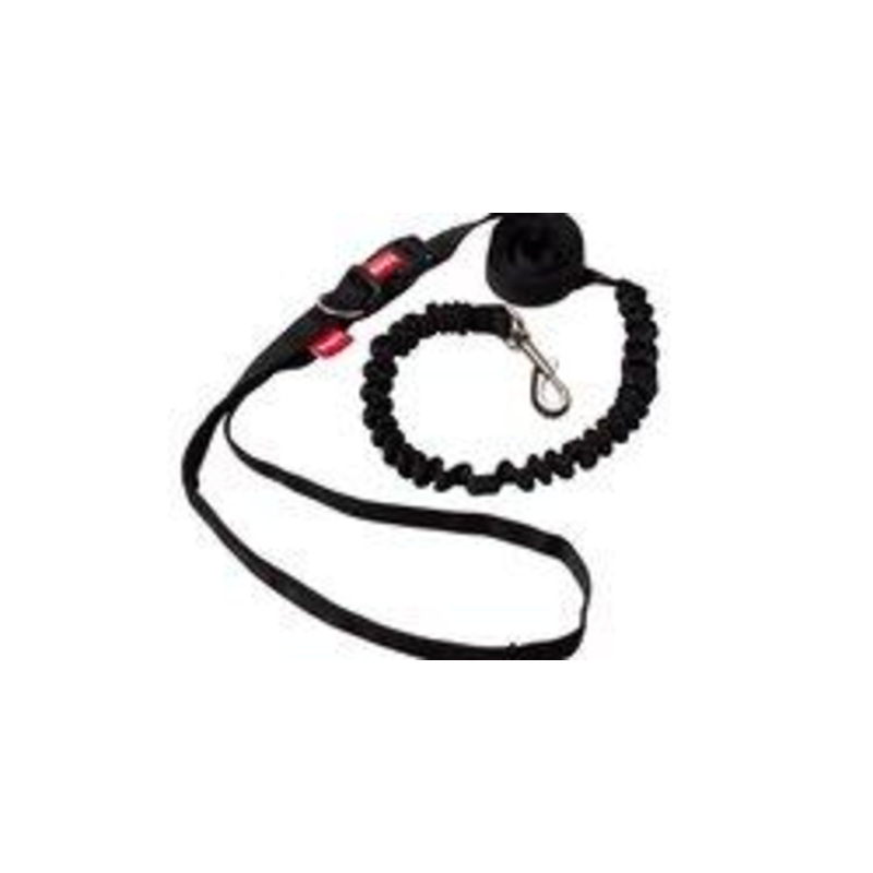 BuD'z Running Leash