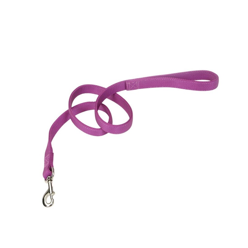 Coastal Double-Ply Dog Leash - 1in x 6ft Orchid