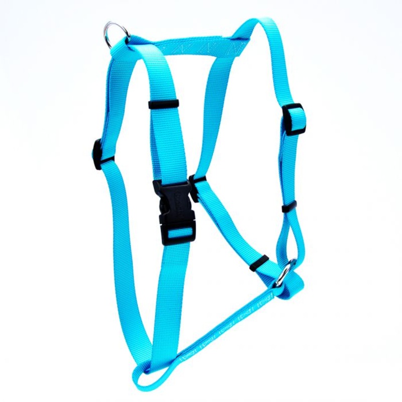 Coastal Standard Adjustable Nylon Harness Teal Dog 1X1PC 3/8x10-18in