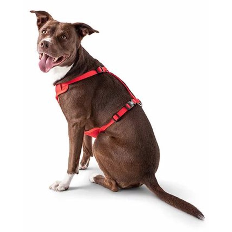 GF Pet Travel Harness Red Small
