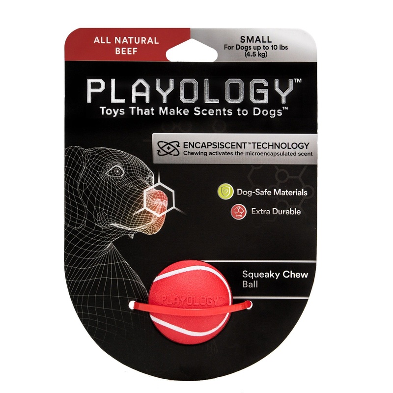 Squeaky Chew Ball - Beef Scent