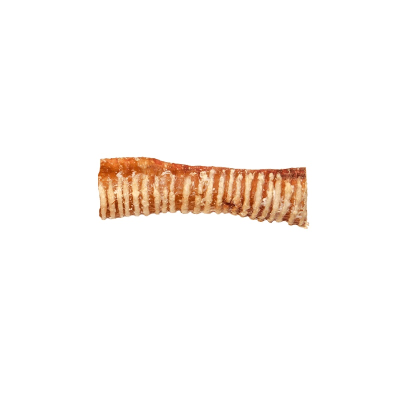 Beef Trachea