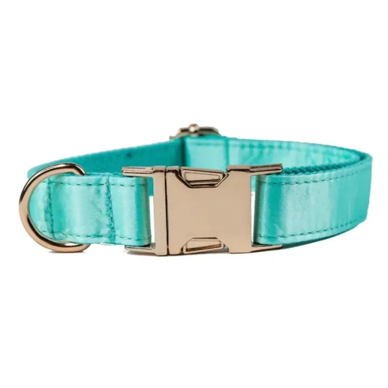 Doggie Republic - The Everyday Collar Aqua Mint